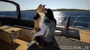 furry animation wolf sex boat woman fox